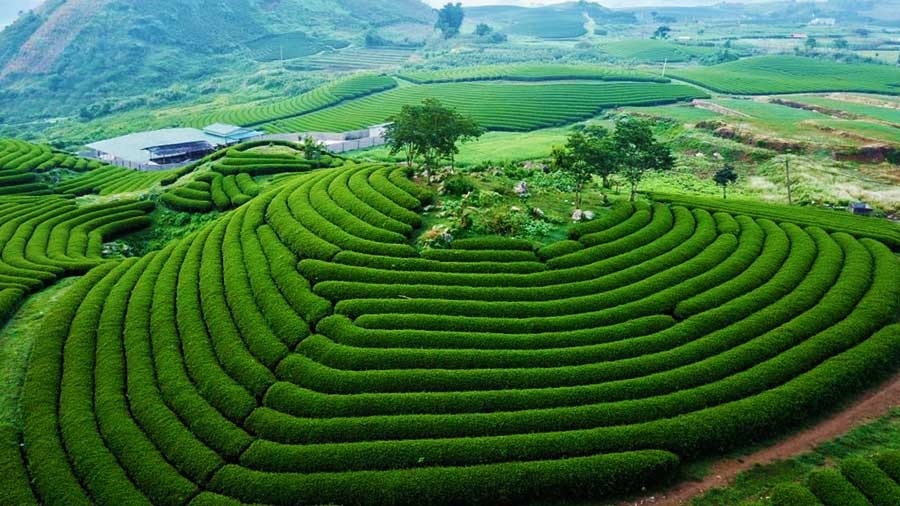Tour Mai Châu - Mộc Châu - Sơn La - Điện Biên - Lai Châu - Sapa 5N4Đ, Khởi hành từ Hà Nội Danh mục: